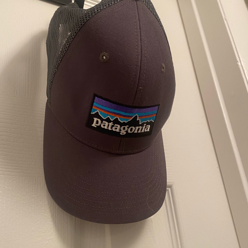 Patagonia Dark Purple trucker hat